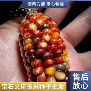 新品种玉米种子批发 宝石玉米种子