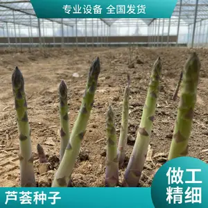 ���������κ��� 6 �� F1 «������ ����ϵ F1 �� ������ǿ����ƽԭ«�����ֹ�Ӧ