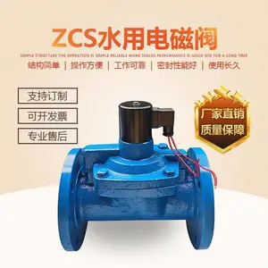 南高阀门供应 ZCS-10C水用电磁阀 铸钢材质 直通式