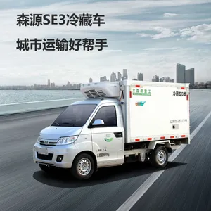 3��ɭԴ��ص綯�������������͵綯����
