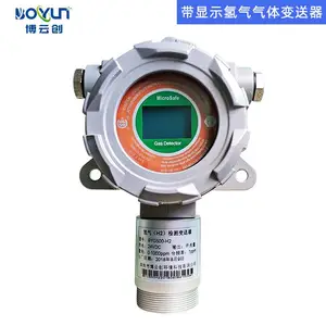 带显示氢气检测仪/氢气浓度报警仪