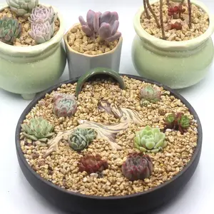 ��Ӧ��ʯ���� �ƽ���ʯ ������ʯ������