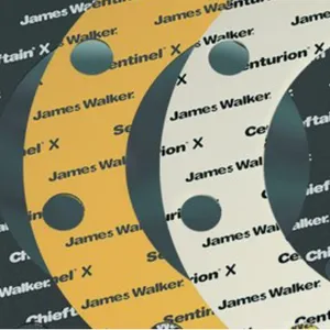 Ӣ��JAMES WALKER��Ȧ��ƬCNAF�͵�Ƭ��ʯ����ճ�ϰ����