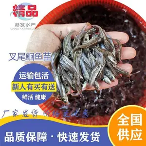 �㽭��Ԫ�ز�β�t���� �߲�����β�t���� ��β�t������ͷ***