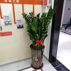 ��ֲ���� ������Ȧ�����ɹ� Ʒ�ַḻ�۸�ʵ�� Ʒ�ַḻ�۸�ʵ��