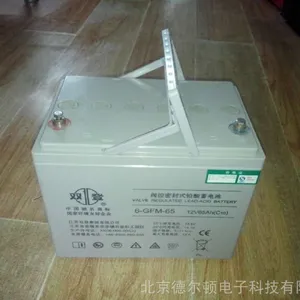 双登免维护蓄电池12V80AH 6-GFM-80 ups应用  原装正品