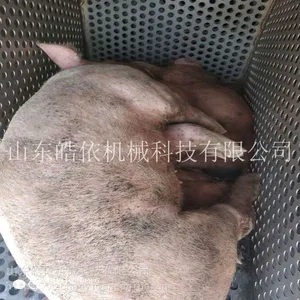 养殖场中小型无害化处理设备、湿化机_供应厂家_皓依机械
