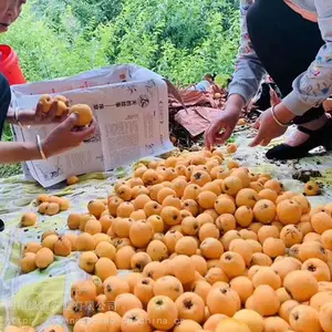 ɳƺ�Ӵ����������� 1����������������һ���Ǯ