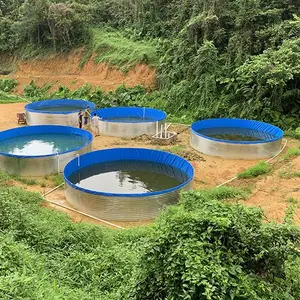 帆布鱼池养殖的优势,易管理,高密度,防止鱼群大面积感染