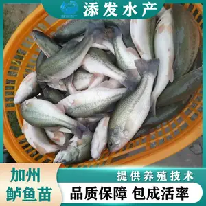 �㶫������������������������ˮ�� �����������