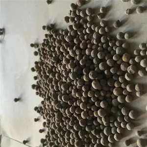 ��Ȫ �����������˳��������� ����Ĥ������˲���