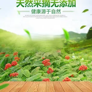 ���Ƥ����� ������ȫ ˹ŵ������ ��OEM���ӹ� ����