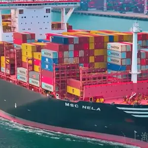 上海精密仪器国际贸易代理推荐 值得信赖 兆龙国际物流供应