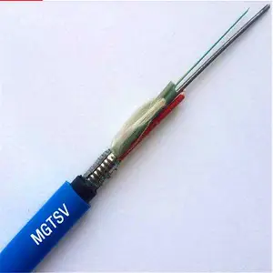 MGTS33 8B1.3ú������ȼ��װ���� 8о���źŹ��˵���MGTSV MGXTSV