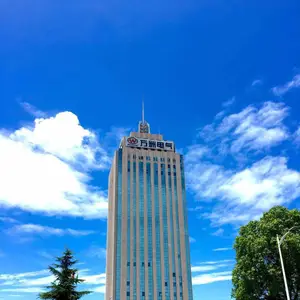 万洲电气股份有限公司