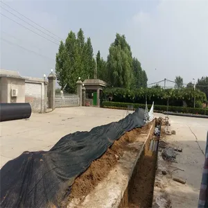 ����ϩ������ ���������� ***������
