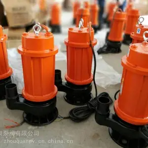 ��Ȫ WQ(D)ȫ����־����������/�и���ˮ����Ǳˮ���