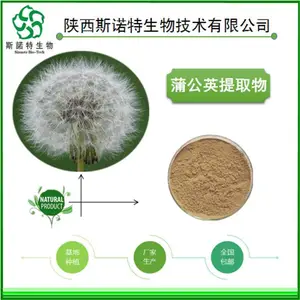 蒲公英黄酮 总黄酮30% 源头厂家 蒲公英甾醇 蒲公英浸膏粉