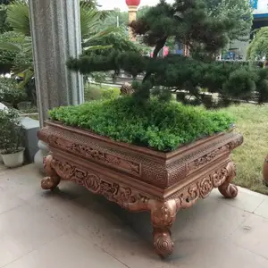 ���ճ���ֱ�� �¹Ż�������ģ�� ������ ������ˮ�໨��
