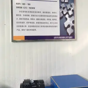 山东开元电机公司张凯变频电机YVF2-250M-4-55