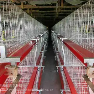 育雏笼 雏鸡笼 蛋鸡育雏笼 肉鸡育雏笼 脱温笼