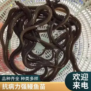 �������������� ��ˮ�������� ������ɻ�***ˮ������