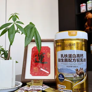 远疆楼兰品牌乳铁蛋白高钙益生菌配方驼乳粉300克独立条包装