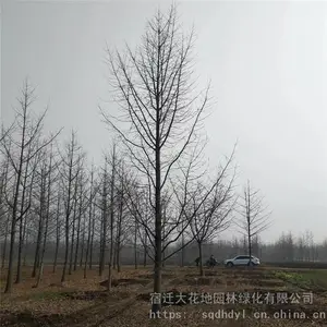 �ؾ�20�����������۸� ���� ���ɻ���