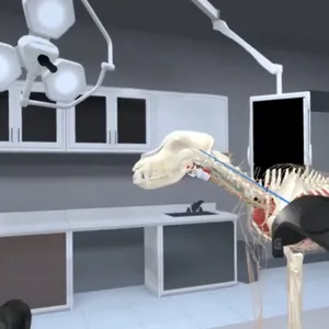 ������ҽVR����