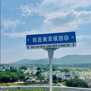 我在南京很想你路牌,双面立杆路牌定做 南京网红打卡地路牌