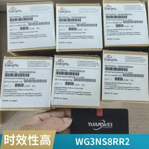 Entegris 英特格 应特格 1/2寸 气体 过滤器 WGFGMBRR4
