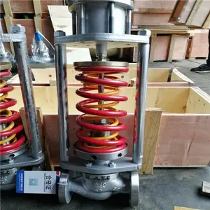 ����ѹ����ѹ�� ZZYP-16B/K ���ֵ��ɱ�Ĥʽѹ����ѹ�� ��ѹ�� ZZYP-16C DN20