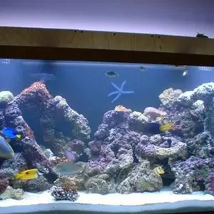 水族馆清洁剂哪有-水族馆清洁剂-锦镁水族馆清洁