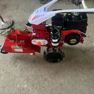 С�������������� �ַ���������� ����ʽ��л�