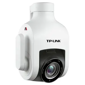 TP-LINK 400万AI星光室外变焦无线球机 TL-IPC646-DZ AI版