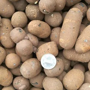 ������ѡ����������Һ����������Ž���