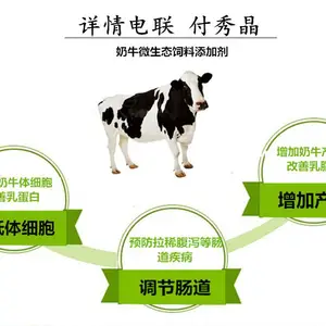 奶牛粪便稀不成型用奶牛活菌微生态厂家直营