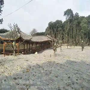 �¹�ˮ����� ľͤ�ӳ��� ����ľ��ͤ���ܶ���ʩ������