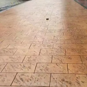 ���С������·��ѹ����ƺ��ɫѹӡ��ƺ ����ָ���ֳ���ѧ