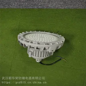 华荣 炼化厂LED防爆灯100w 机房LED防爆灯40w 货源充足