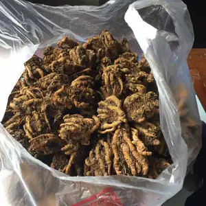 中药材优质黄连黄莲一级业内俗称鸡爪连产地直销干货单枝独条川连黄连