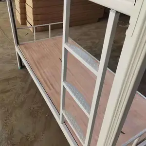 ѧ���ߵʹ���ѧ���������´�ѧ��Ա�������� ˫�˴���ѧ��������