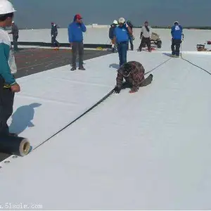 [�����������޻�Ϳ��] ����ˮ�Ծ۰�������ɰ��NFUcreedHD�̻���