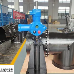 ֱ��ʽ�綯��ˮբ �� PZXII-DN200�����ֶ�������� ˮբ��