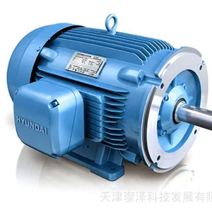 电机 1.5KW 4P 220/380V 60HZ HYUNDAI