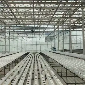 江西水稻育秧大棚厂家 欢迎咨询 厚本温室供应