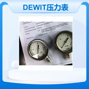 DEWIT压力表91/63不锈钢管道压力计De Wit 91V系列