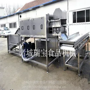 供用山东瑞宝XJ-6000型大姜清洗机 生姜去泥清洗机 无损鲜姜清洗机