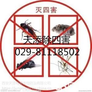 西安城西灭老鼠 西安酒店逮老鼠