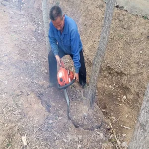 �����������ܽض����� �е�����������